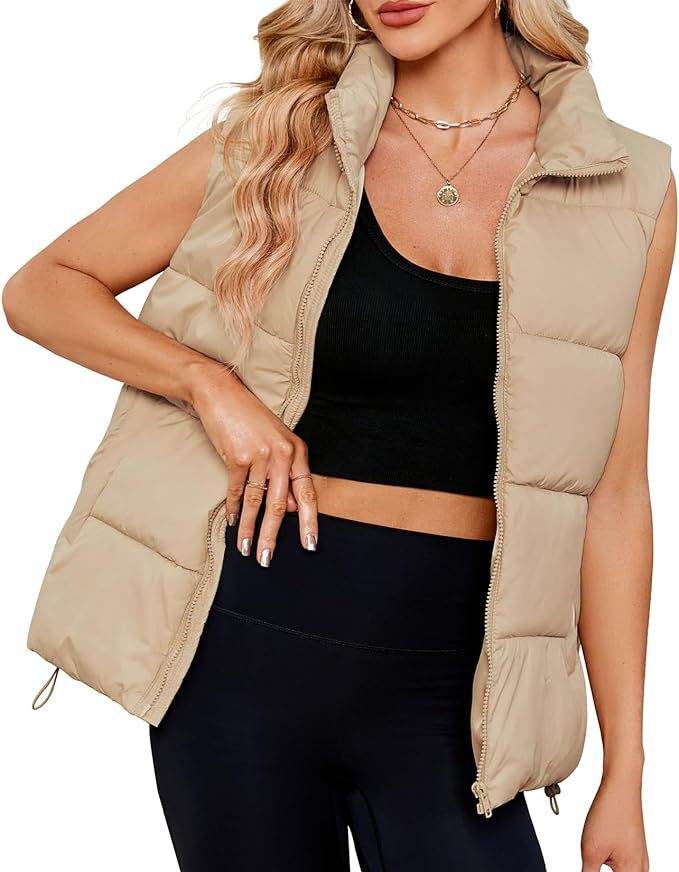 Women's Sleeveless Stand-up Collar Thermal Down Cotton-padded Vest - Shanilia