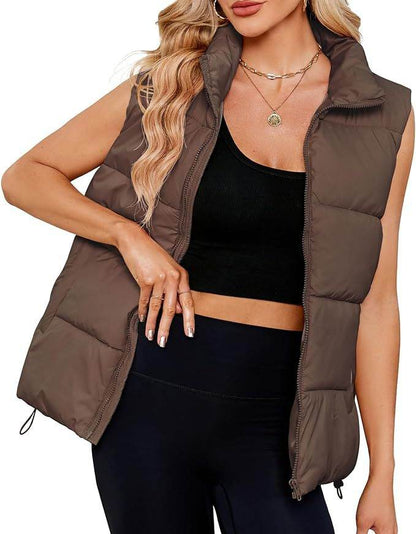 Women's Sleeveless Stand-up Collar Thermal Down Cotton-padded Vest - Shanilia