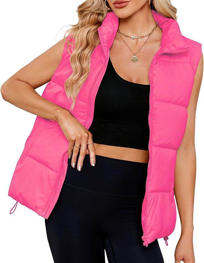 Women's Sleeveless Stand-up Collar Thermal Down Cotton-padded Vest - Shanilia